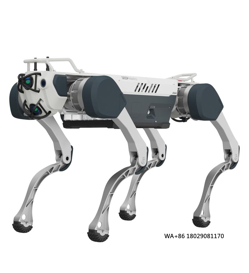 Robot Remote Control - Erreichen der künstlichen Intelligenz für Bildung