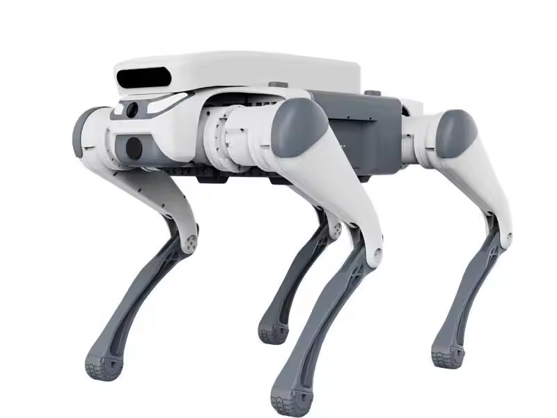 Stunt-Fernbedienung, Lernspiel – Robot Remote Control Bewertung und Preis