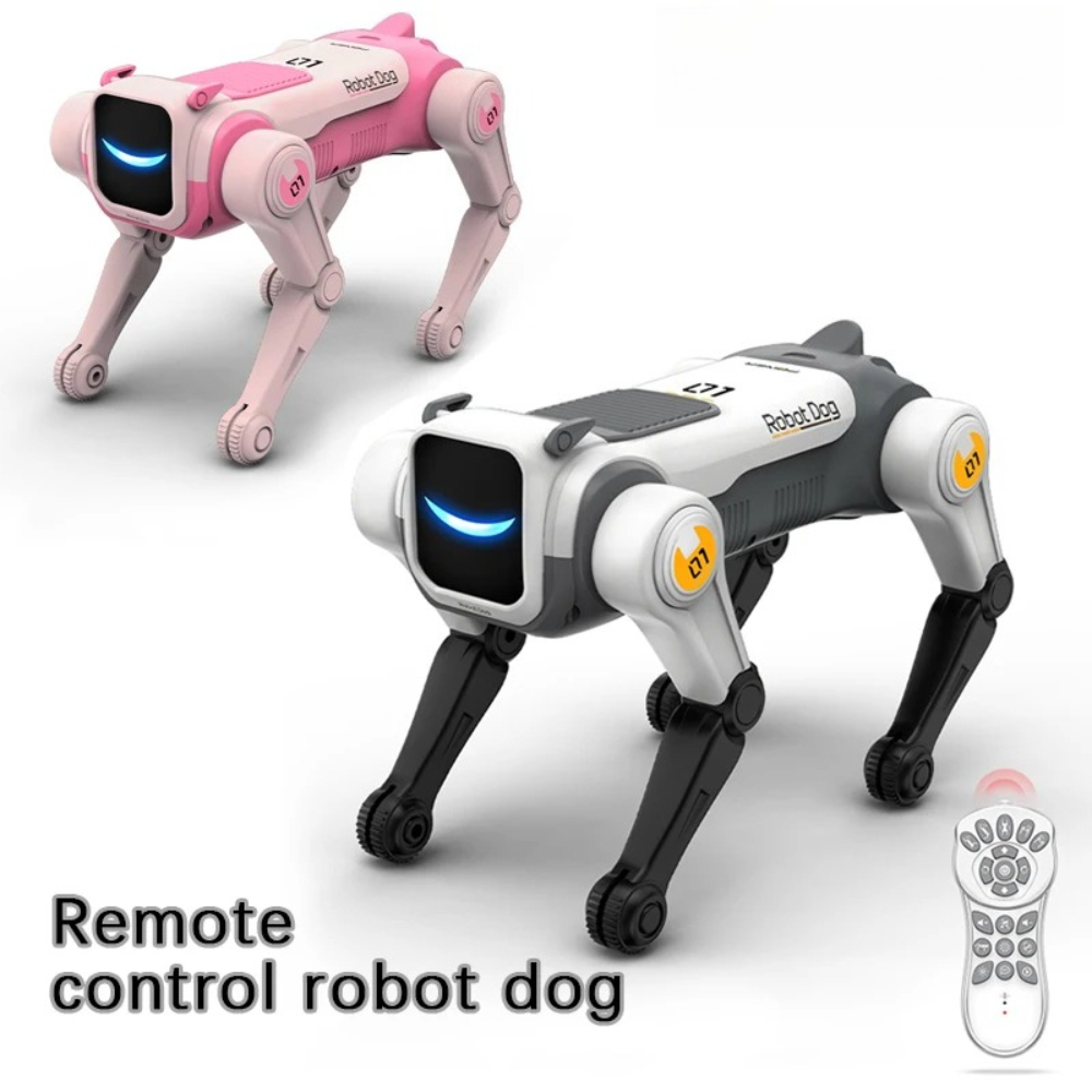 Intelligenter Ferngesteuerter  – Robot Remote Control Bewertung und Preis