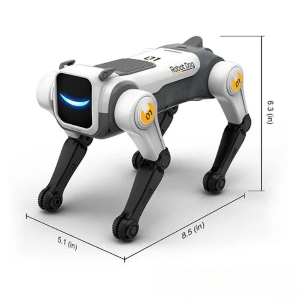 Intelligenter Ferngesteuerter  – Robot Remote Control Bewertung und Preis