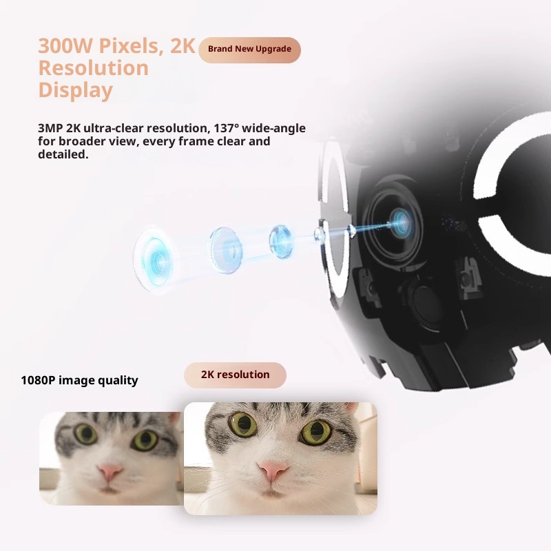 Enabot ROLA Mini Smart Robot I – Ros Robot Bewertung und Preis